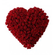 75 красных роз в виде сердца